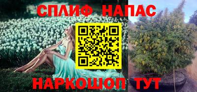 мдпв Жуковский