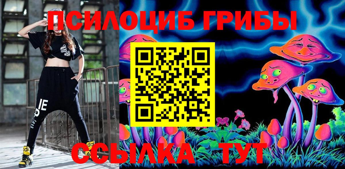 Майкоп  Галлюциногенные грибы MAGIC MUSHROOMS  Вход с VPN 